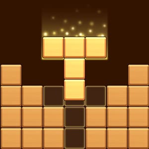 Woodoku Block Puzzle